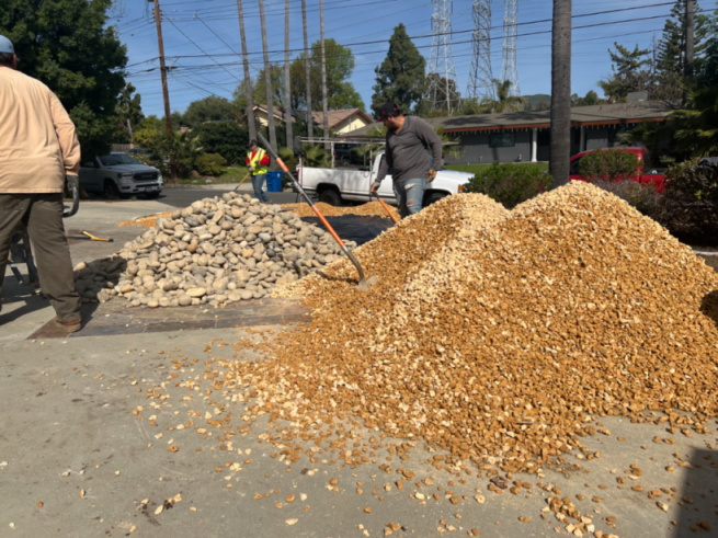 New Non-Water front yard design going in