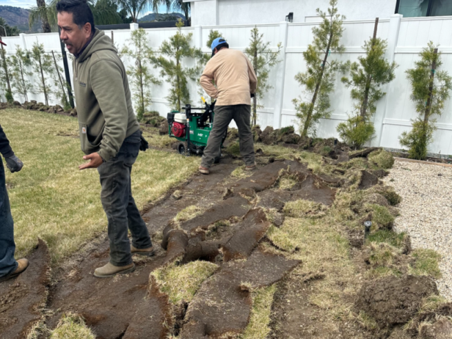 Sod removal for DWP's rebate program